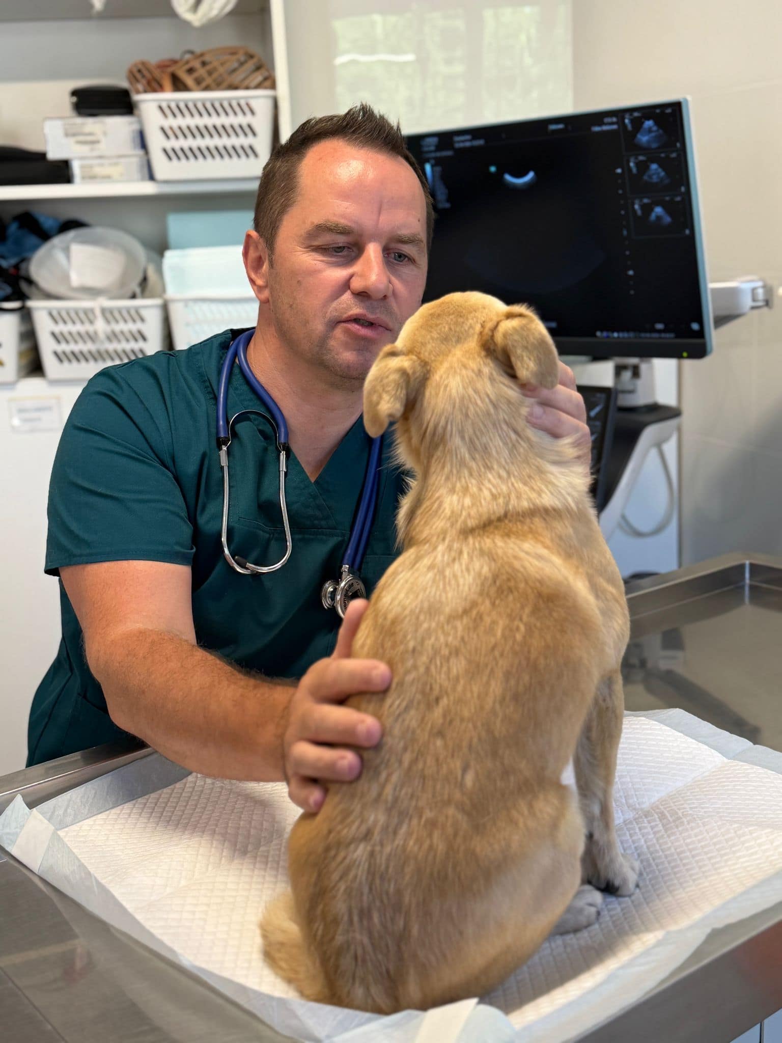 catalin podar medic veterinar homeopatie bucuresti