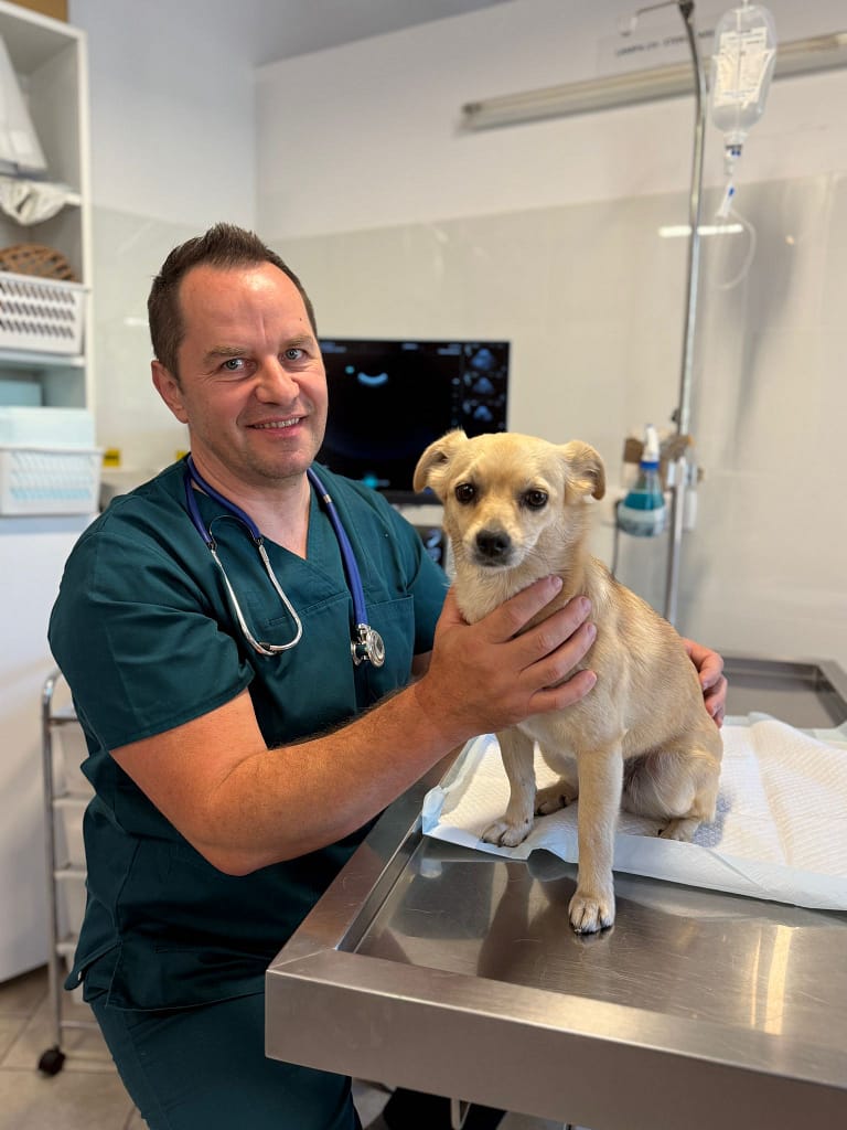 Dr. Cătălin Podar, medic veterinar, homeopatie, București